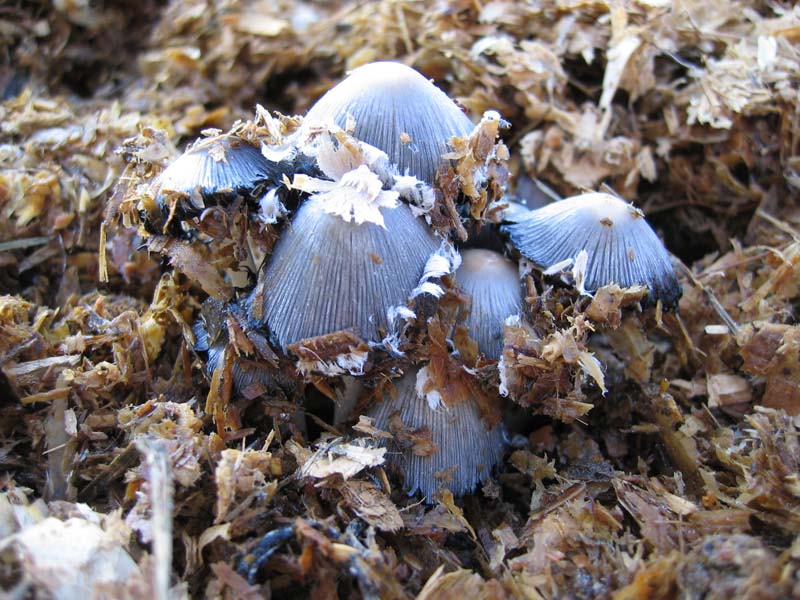 Escursione del  sabato pomeriggio